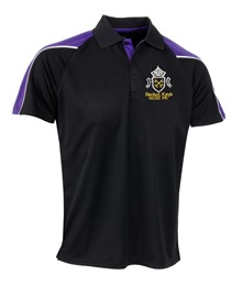 Becket Keys Boys GCSE Polo