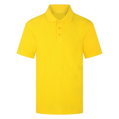 Gold Polo (Priory)