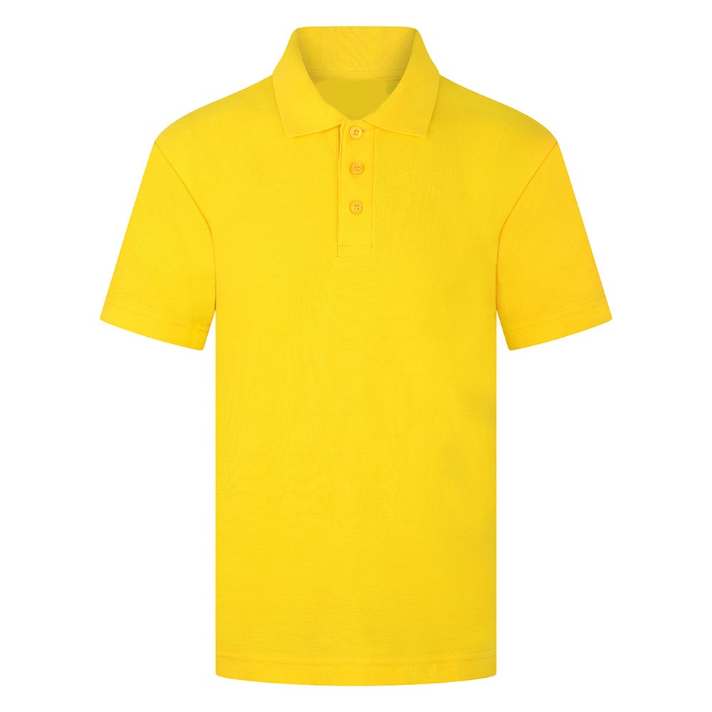 Gold Polo (Priory)